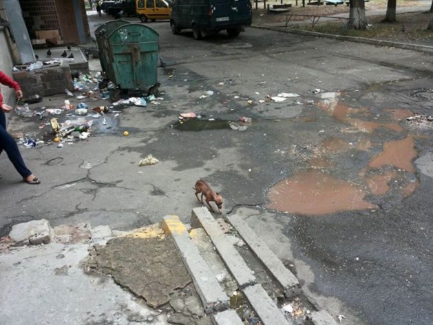 Бровари у смітті та смороді: хто винен?