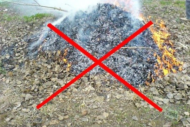 Чому не можна спалювати листя
