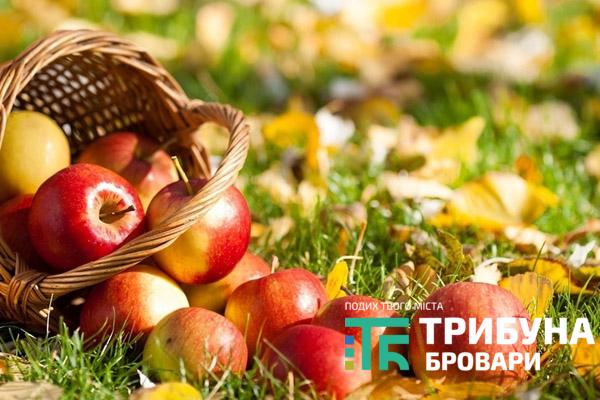 Яблуневий спас: освячуємо фрукти і роздаємо дітям, бідним та хворим