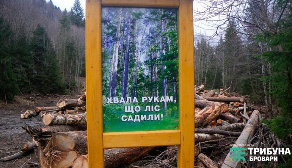 Посилено кримінальну відповідальність за незаконну вирубку дерев