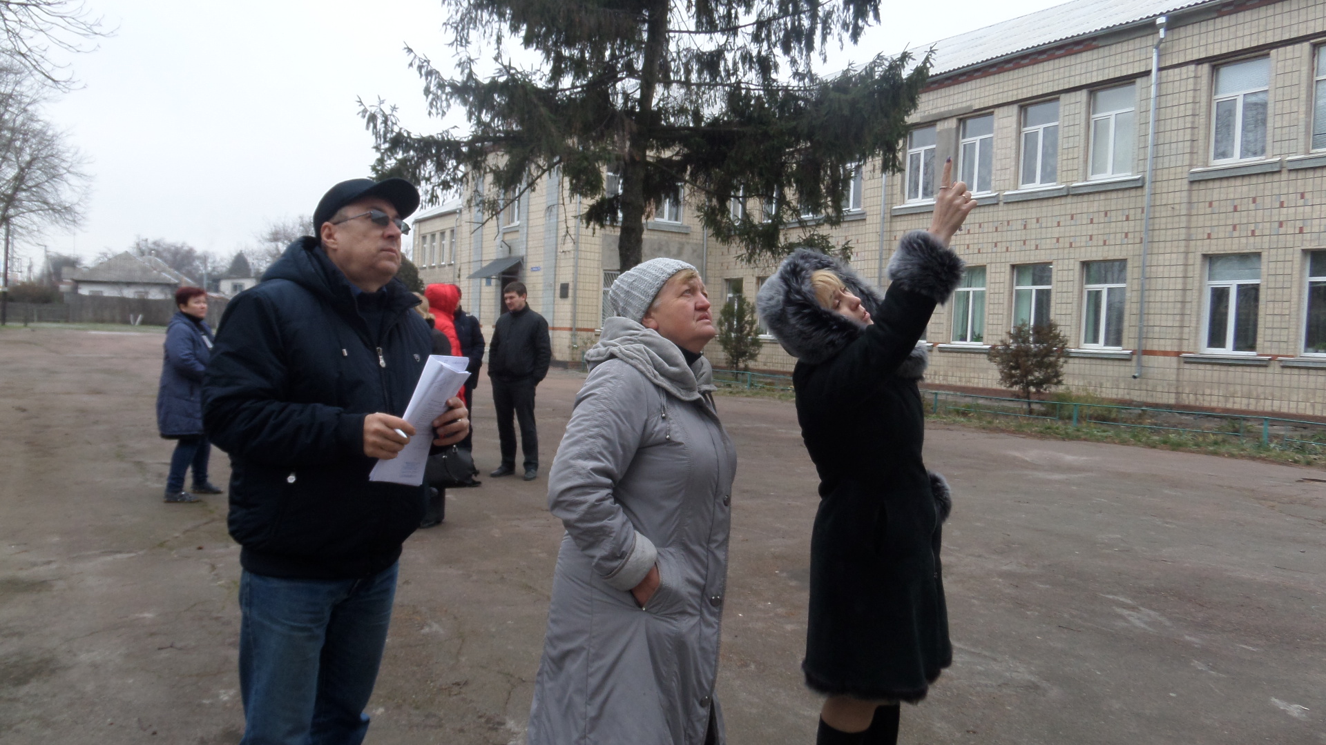 Кронувати, обрізати чи видалити? Хто вирішує долю дерев у Броварах