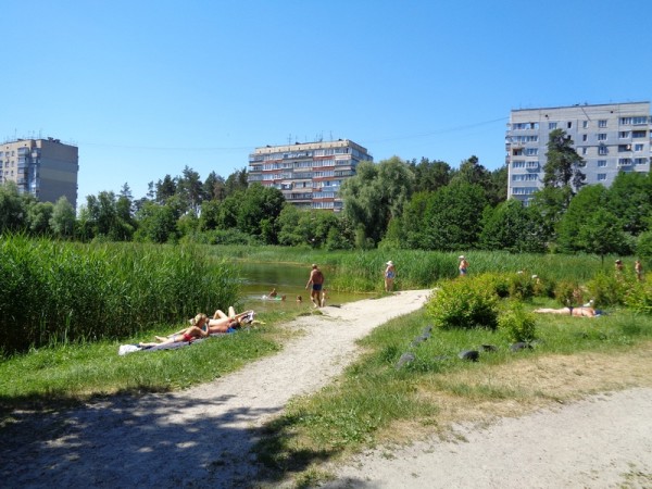 Ділянку в парку “Приозерний” віддають під кафе-магазин родині депутата