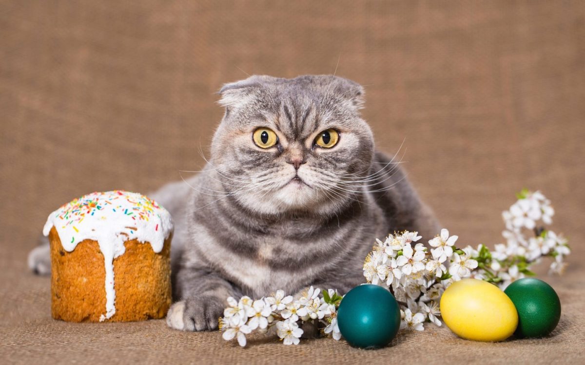 У квітні українці матимуть 11 вихідних