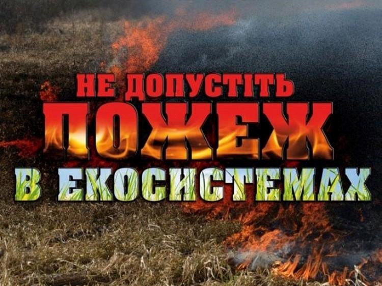 Броварська влада закликає містян не спалювати суху траву, опале листя та чагарники
