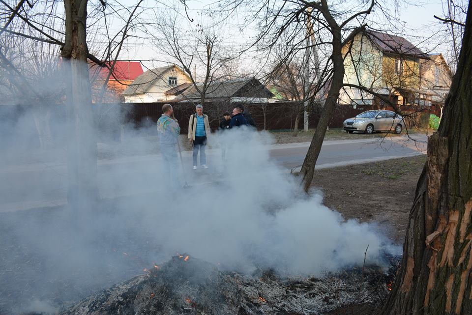 У Броварах опале листя комунальники вивозять безкоштовно