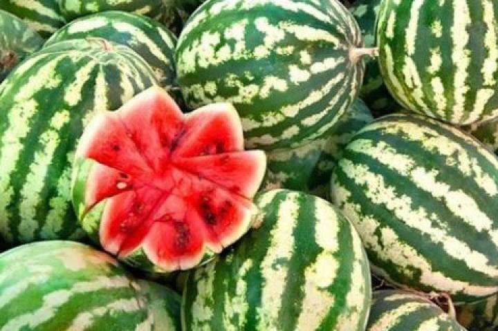 Все про кавуни: як обрати та з чим їсти