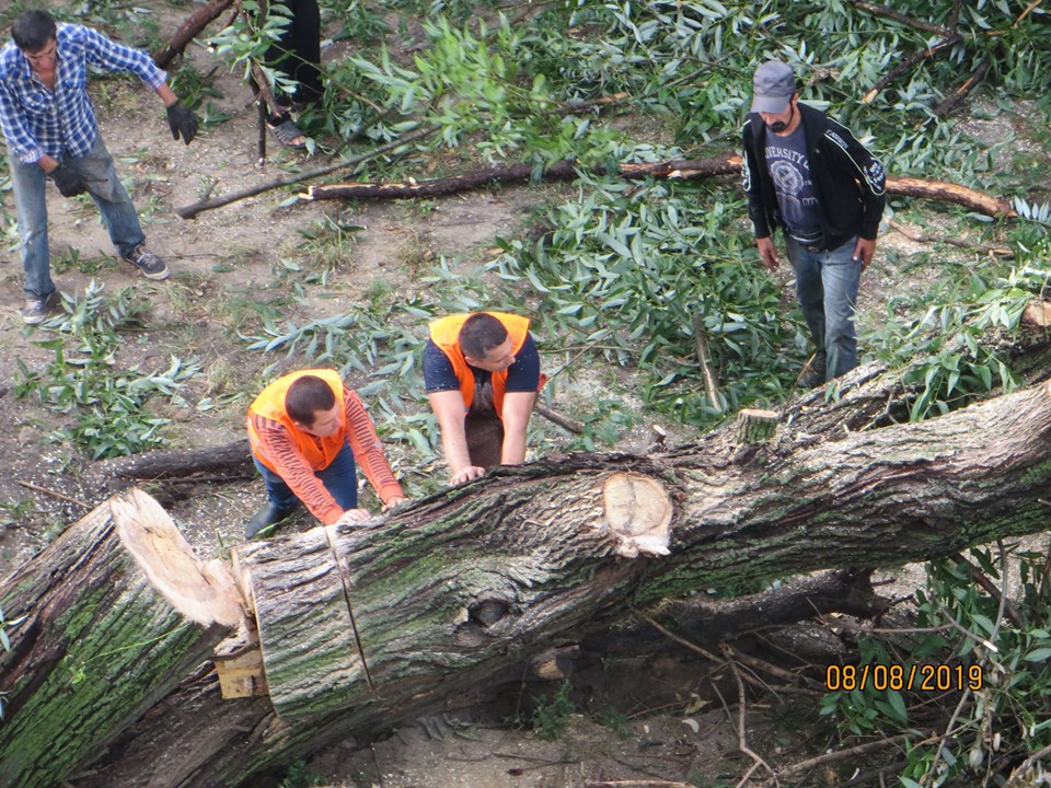 Повалені дерева, заблокована дорога і пожежа в будинку від блискавки – наслідки негоди
