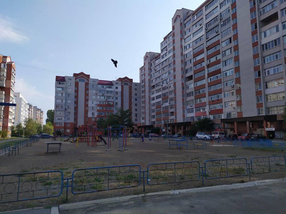 Зелений простір на Грушевського, центр стерилізації та 3 «шкільні» проєкти – переможці Громадського бюджету-2019 Громадський бюджет