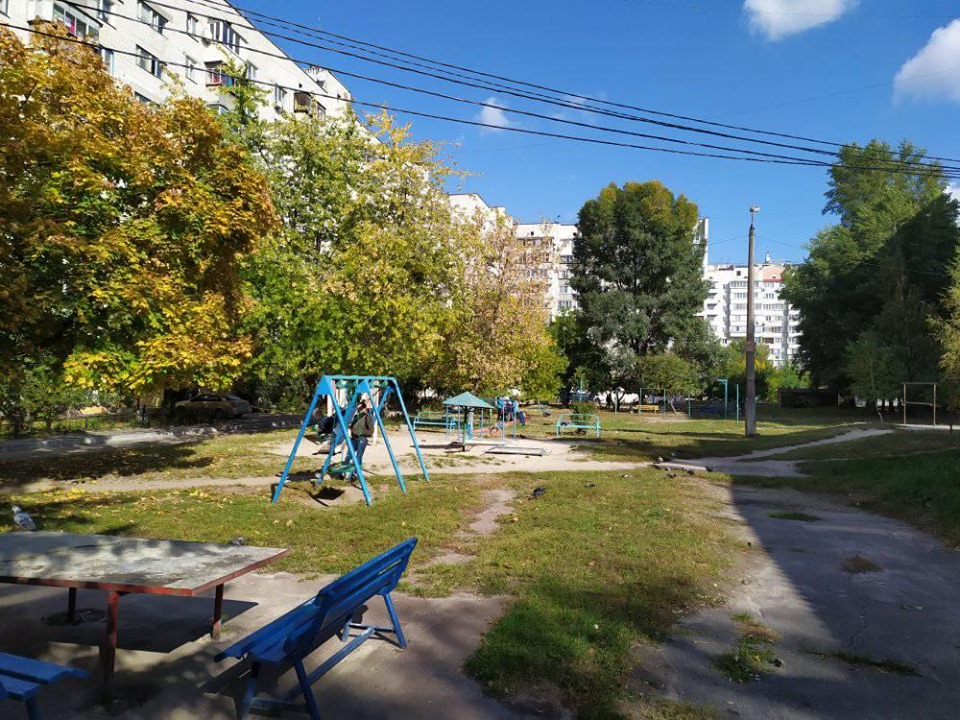 Під ніж «засудили» ще 85 дерев. Зріжуть не всі, – чиновники видалення дерев