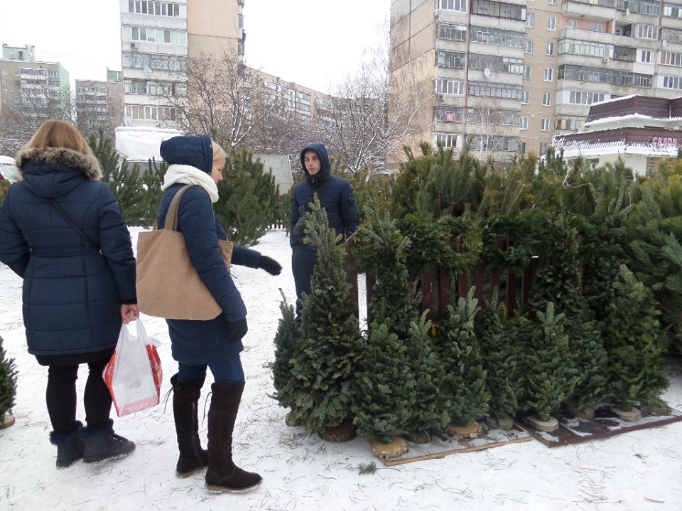 За право продавати ялинки в Броварах розгорнулась справжня боротьба ялинкові базари