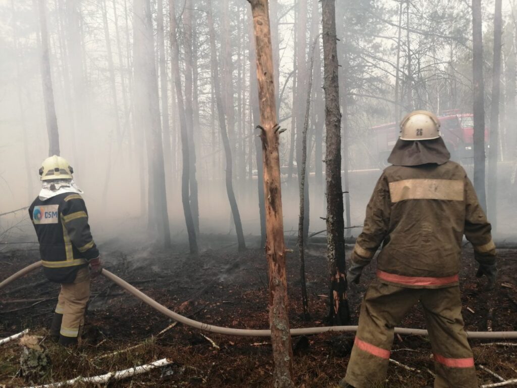 горить і тліє ліс