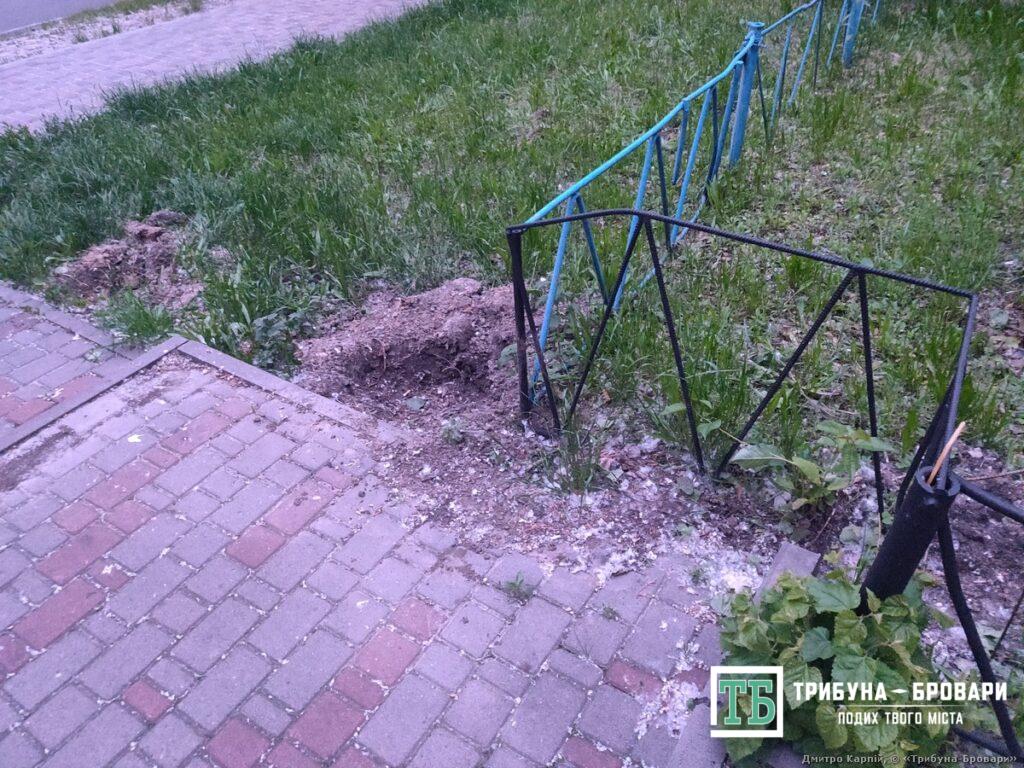 викопана туя
