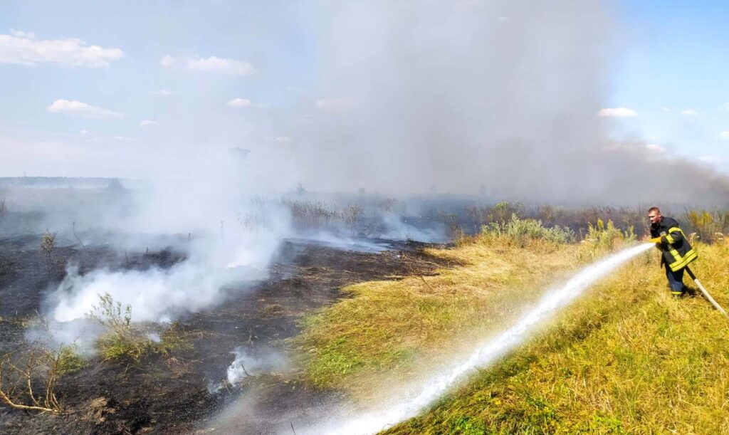 У Богданівці згоріло 5 га чагарників і сухої трави. ФОТО Богданівка 19.08.2020