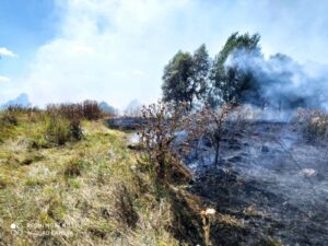 Богданівка 19.08.2020