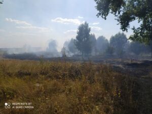 Богданівка 19.08.2020