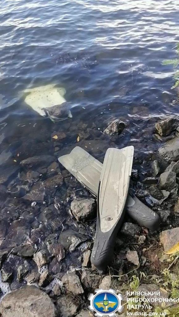 бракон'єра впіймали з раками