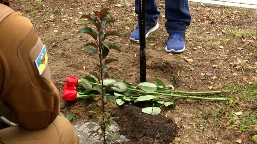 Алея пам'яті загиблих жінок в російсько-українській війні