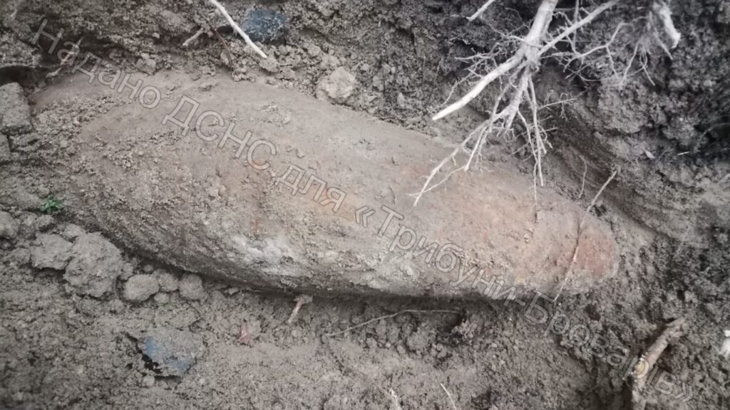 Снаряд в пухівському лісі