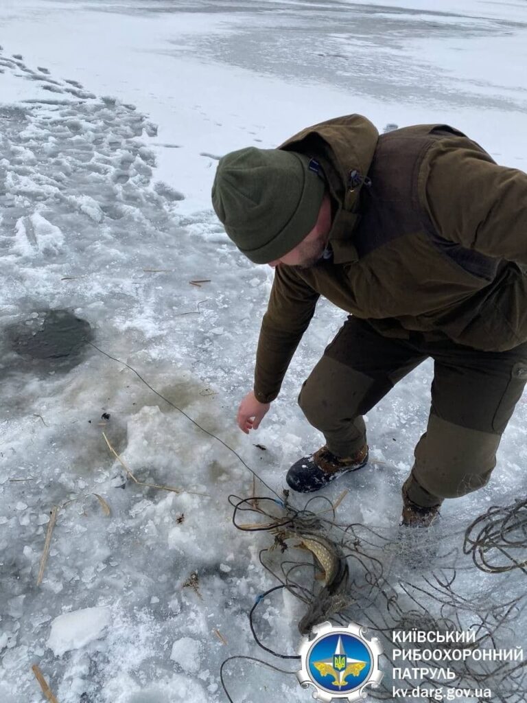 бракон'єр біля Погребів