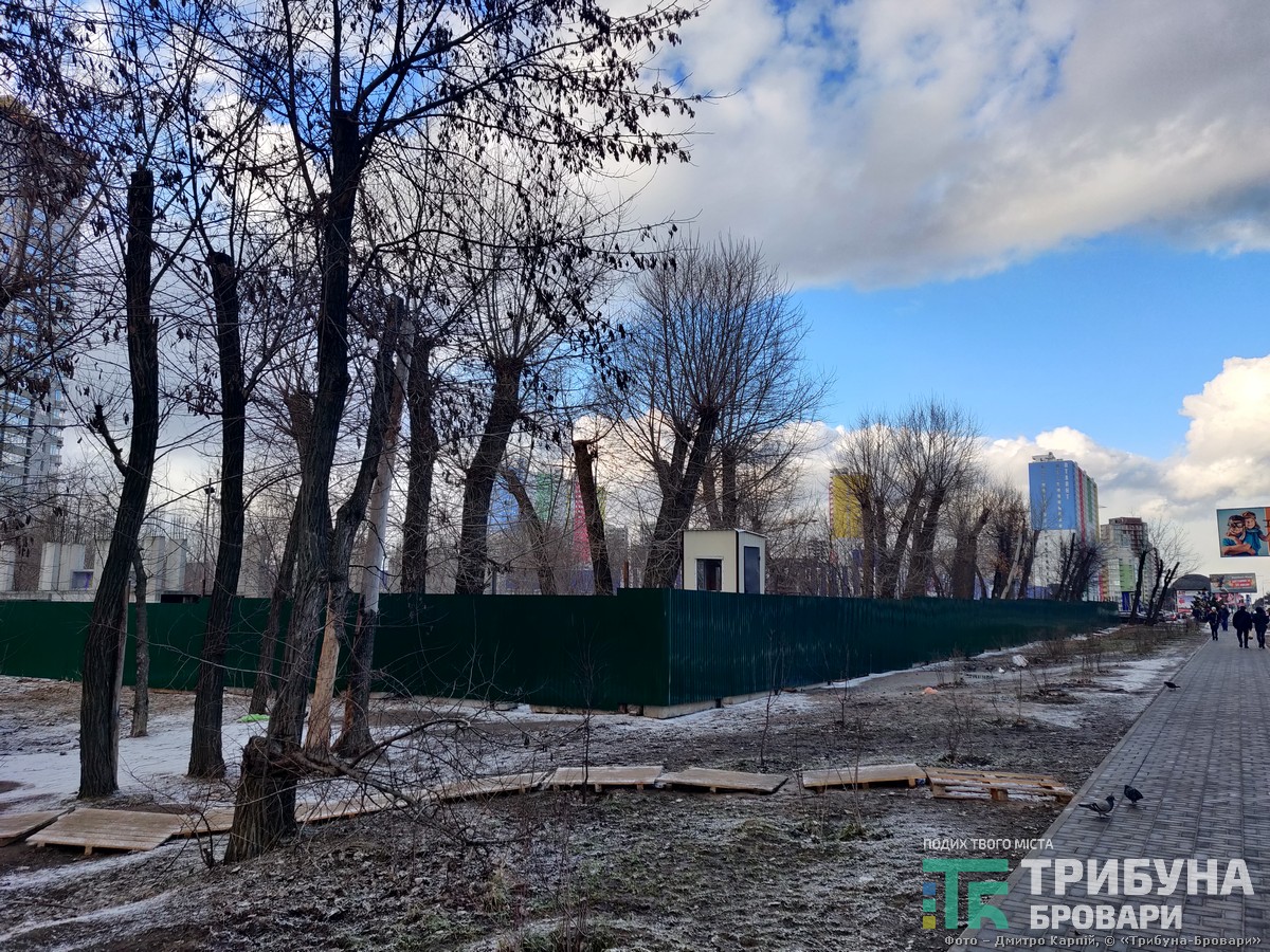 обрубані дерева за парканом