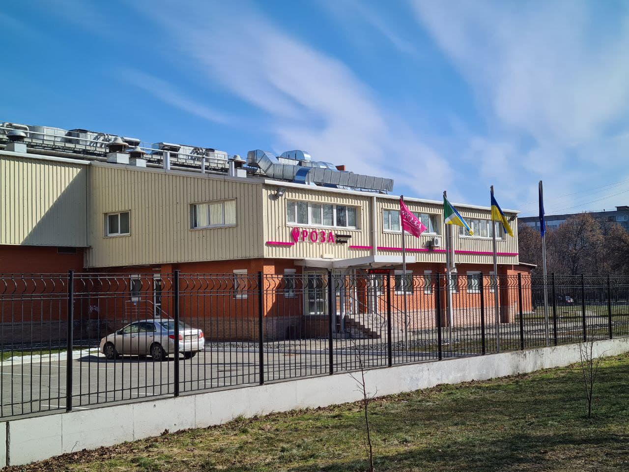 Роза