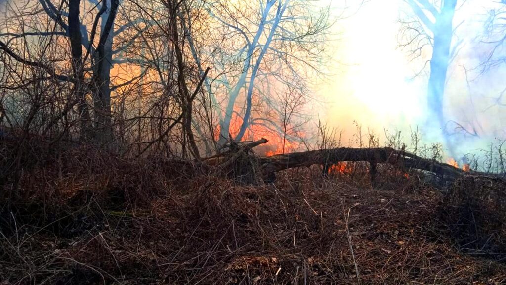 За вихідні на Броварщині вигоріло близько 30 га землі. ФОТО, ВІДЕО Пожежа трав'яного настилу 27-28 березня 2021, фото - ДСНС