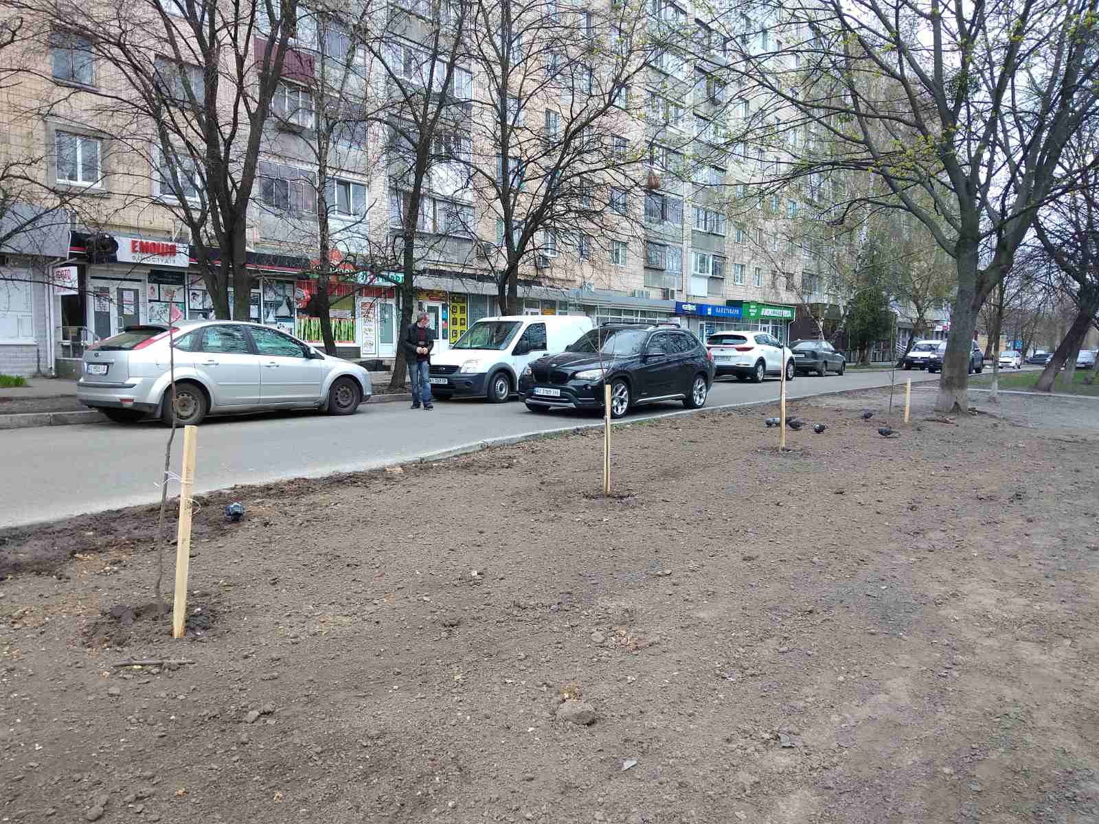 висадження дерев