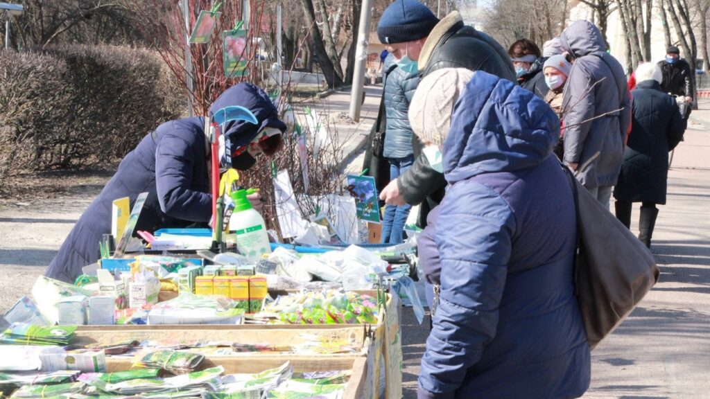 Продаж посадкового матеріалу