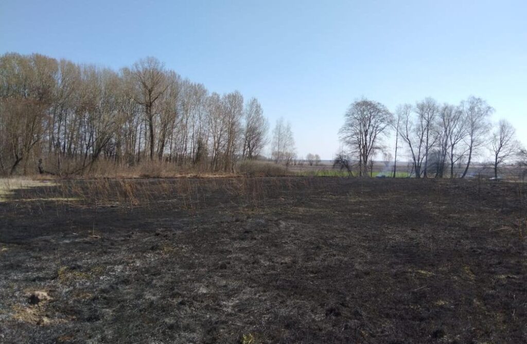 Пожежа трави та чагарників, фото - ДСНС, Требухів