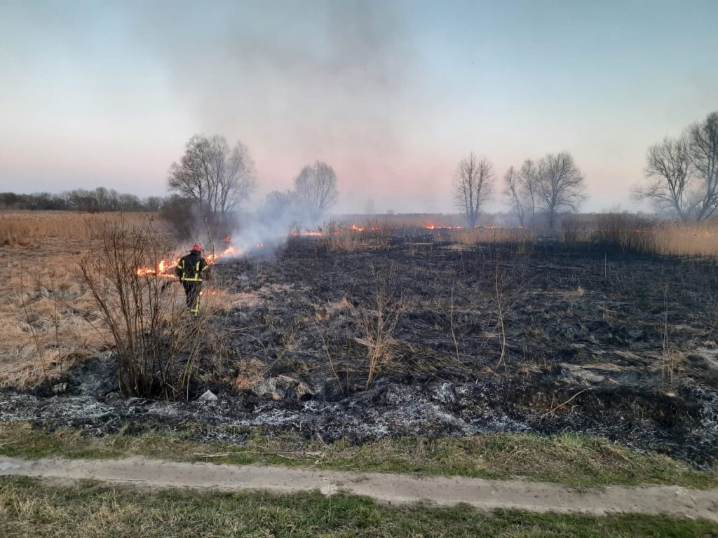 Пожежа трави та чагарників, фото - ДСНС, Бровари