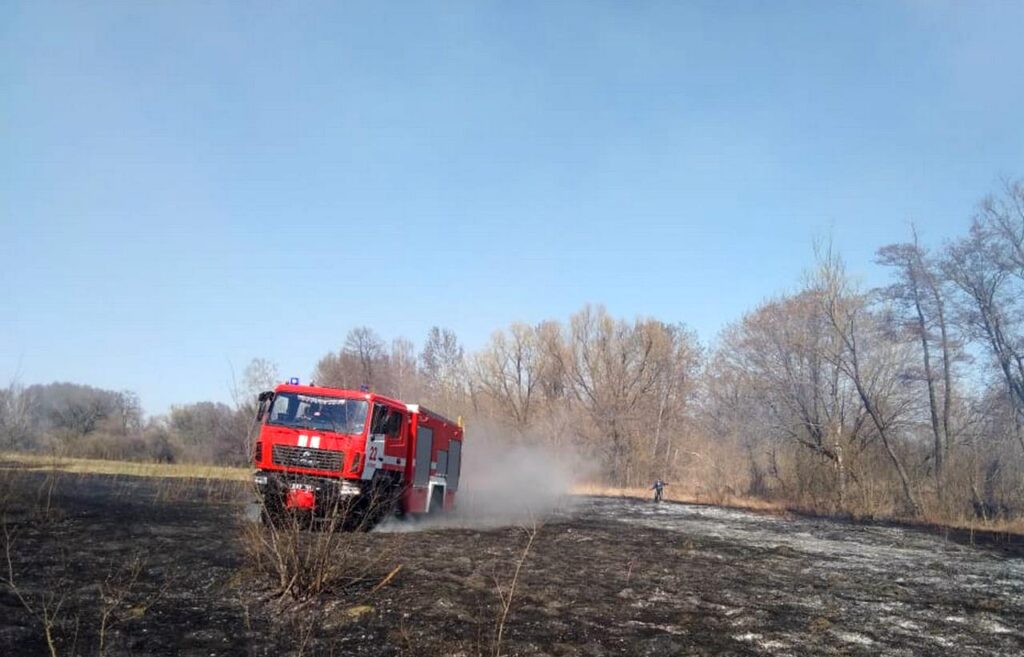 Пожежа трави та чагарників, фото - ДСНС, Опанасів