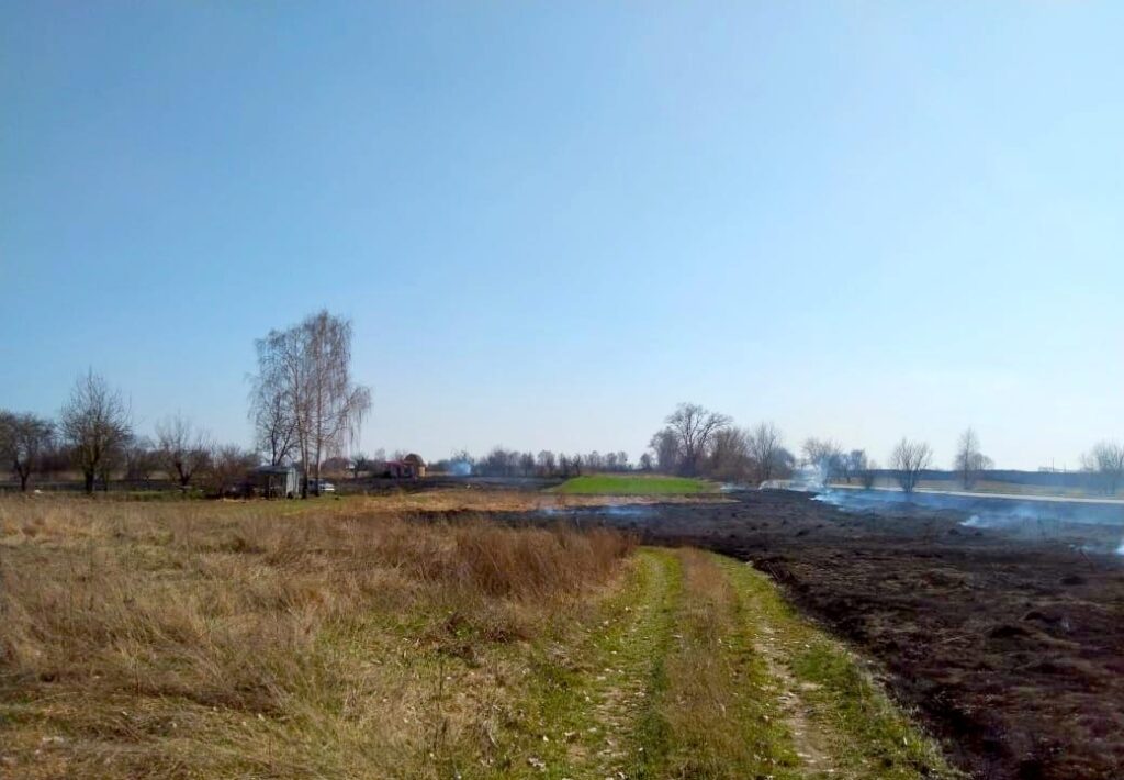 Пожежа трави та чагарників, фото - ДСНС, Калита