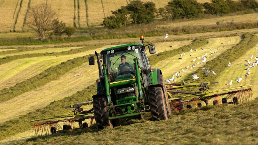 Фермерство, фото - Agromedia