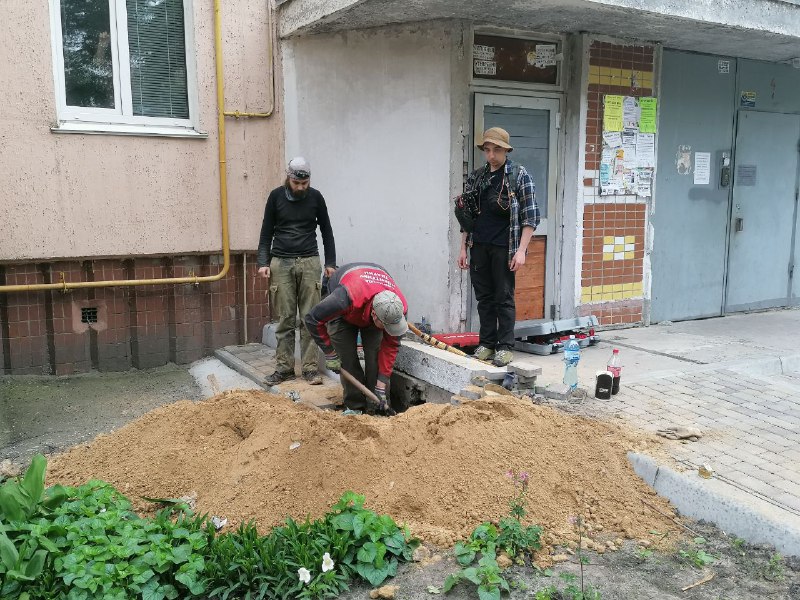 Порятунок їжаків на бульв. Незалежності, фото - команда порятунку тварин Києва