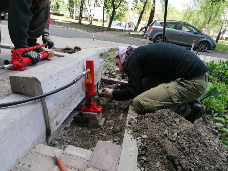 Порятунок їжаків на бульв. Незалежності, фото - команда порятунку тварин Києва