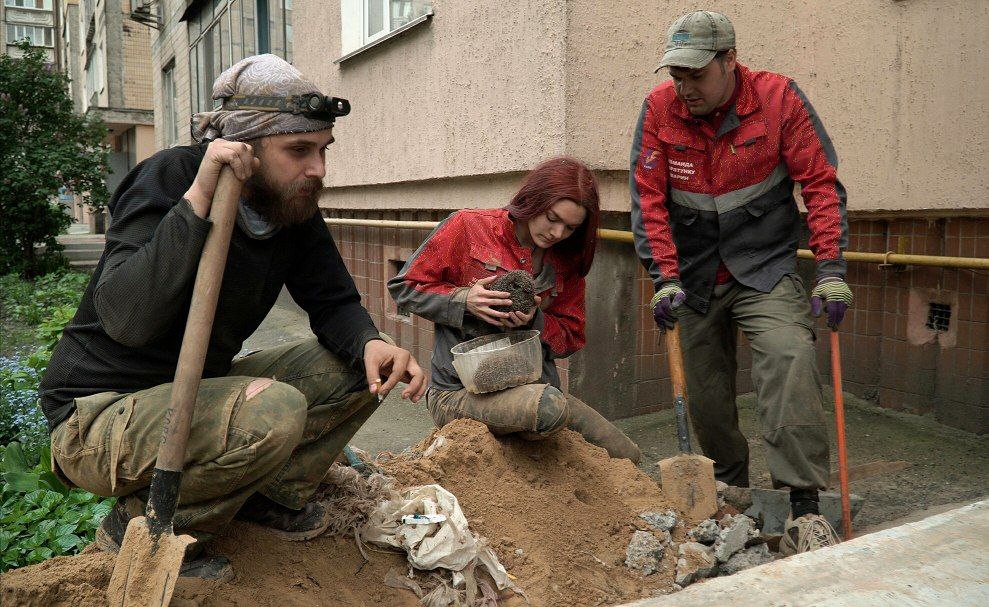 Порятунок їжаків на бульв. Незалежності, фото - команда порятунку тварин Києва
