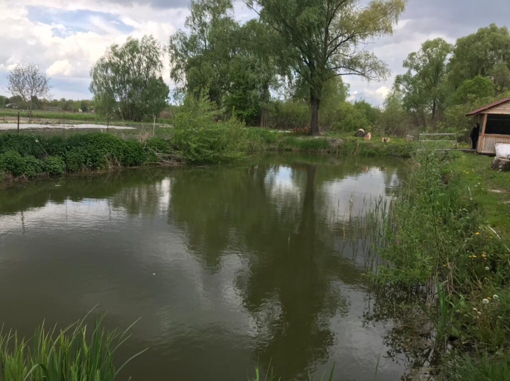 У Требухові потонув чоловік, фото - ДСНС