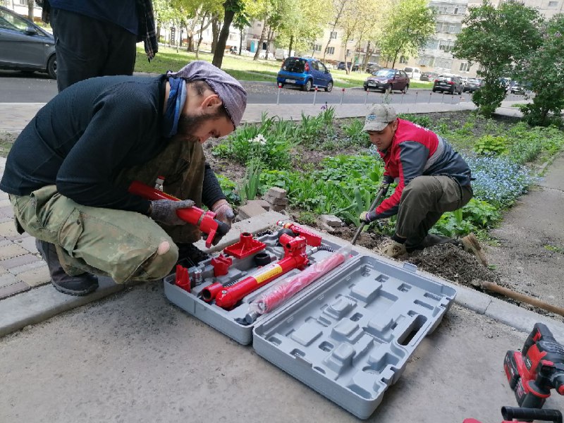Порятунок їжаків на бульв. Незалежності, фото - команда порятунку тварин Києва