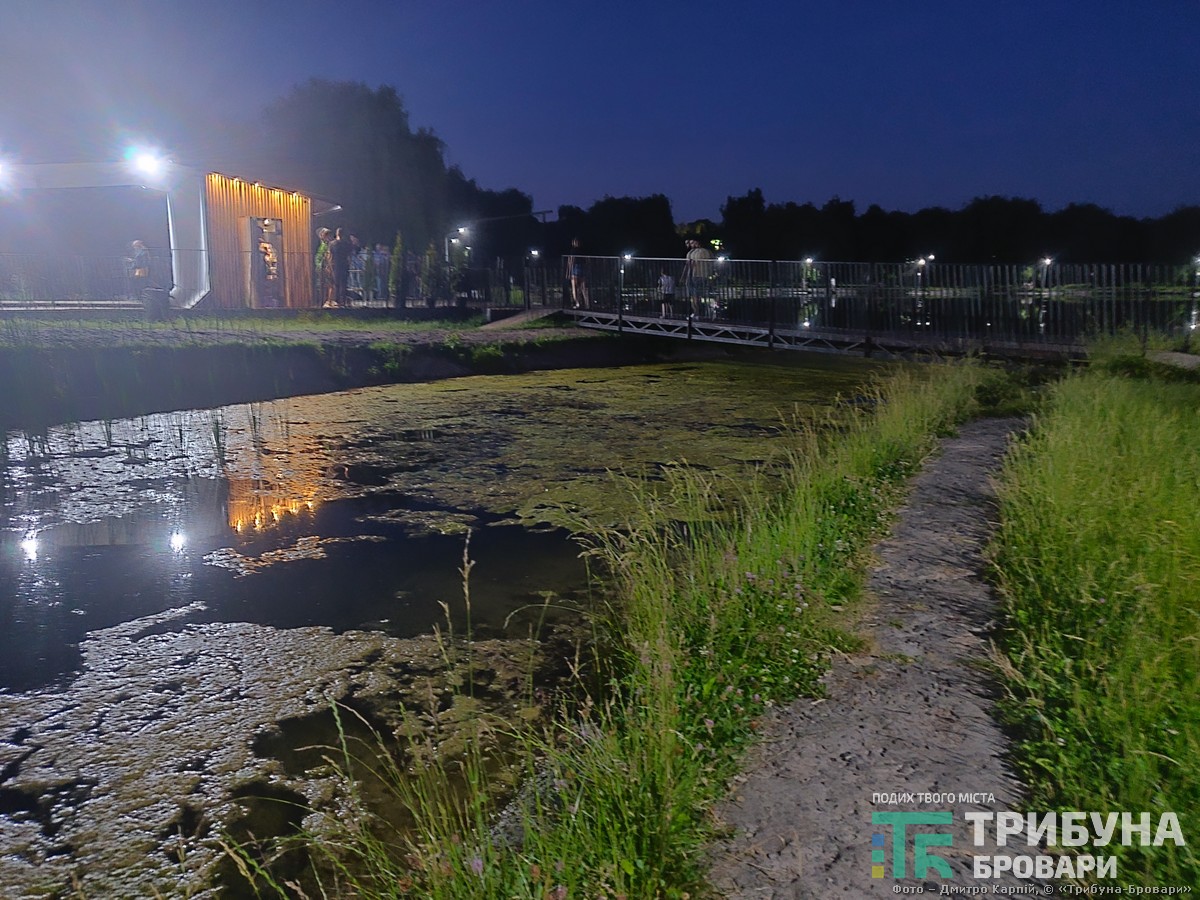 водойма цвіте