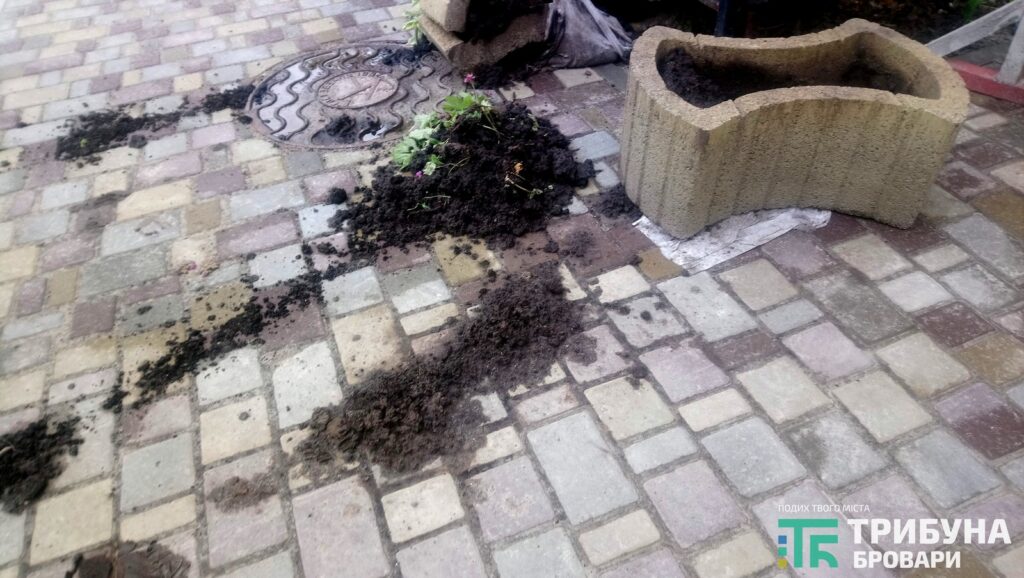 Нищення вазонів та порушення паркування, Незалежності, 10-Б, фото - Захар