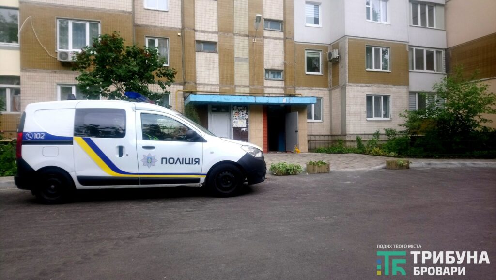 Нищення вазонів та порушення паркування, Незалежності, 10-Б, фото - Захар