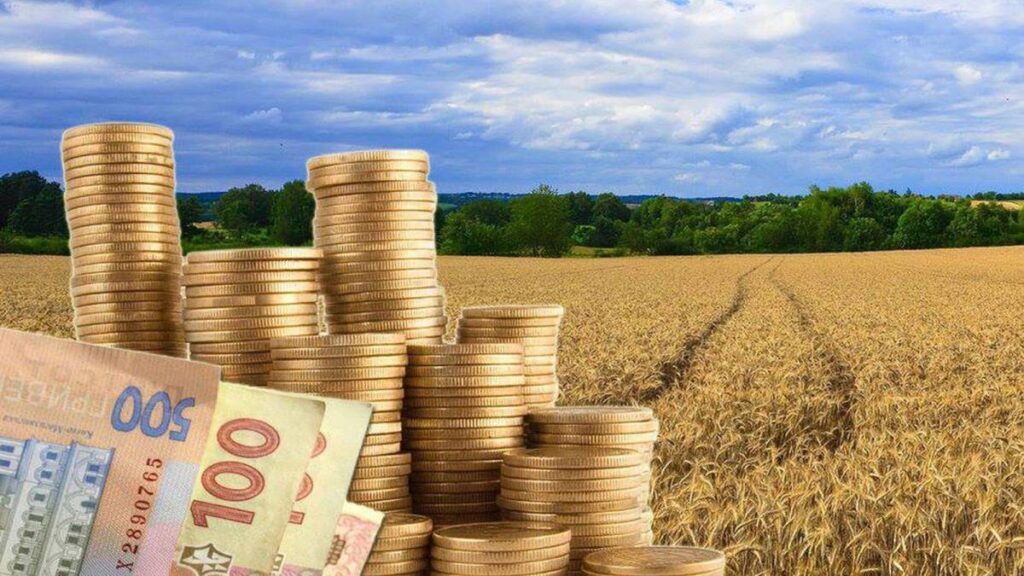 Із 1 липня в Україні можна продавати землю. Що варто знати