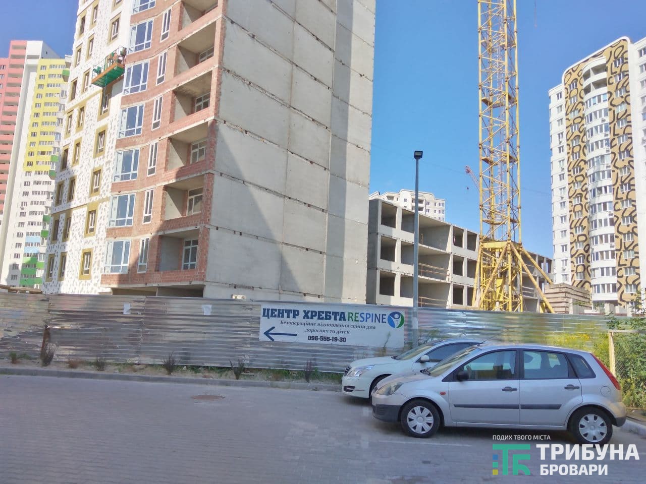 Вул. Симоненка, 113