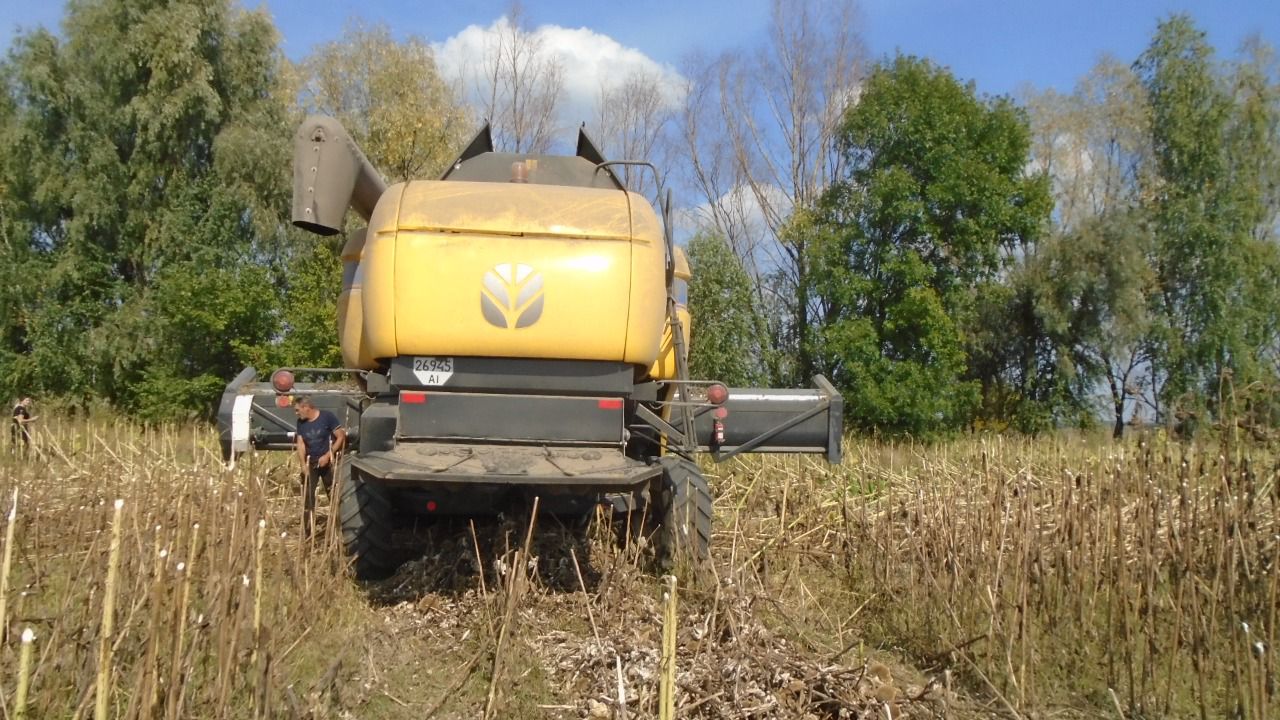 Рейдерство землі, В. Димерка