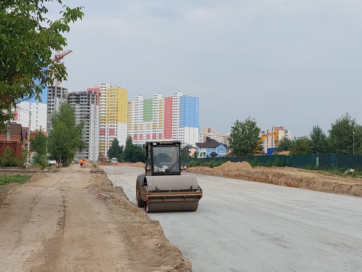 Для будівництва вул. Симоненка зріжуть 42 дерева дорога
