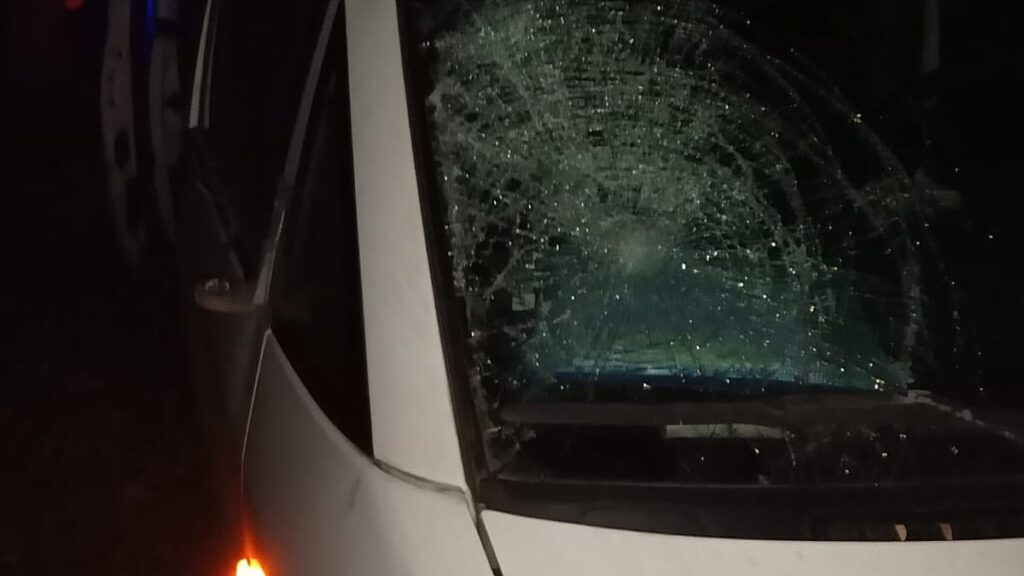 Неподалік Літок автівка збила нетверезого пішохода