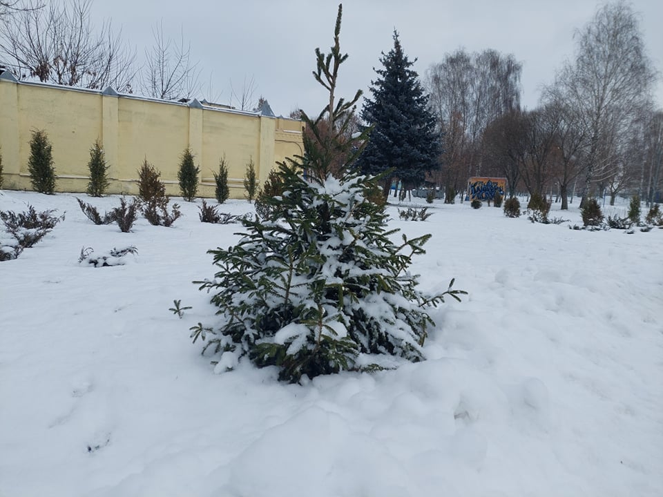 свята