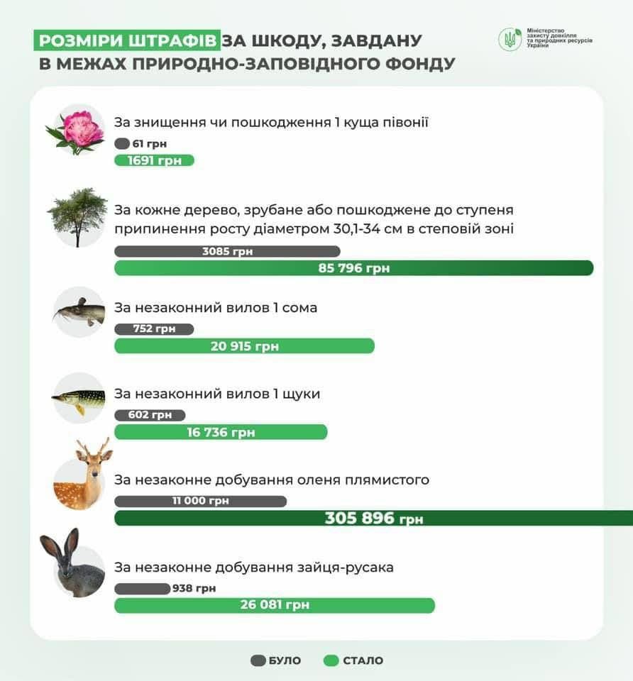 інфографіка