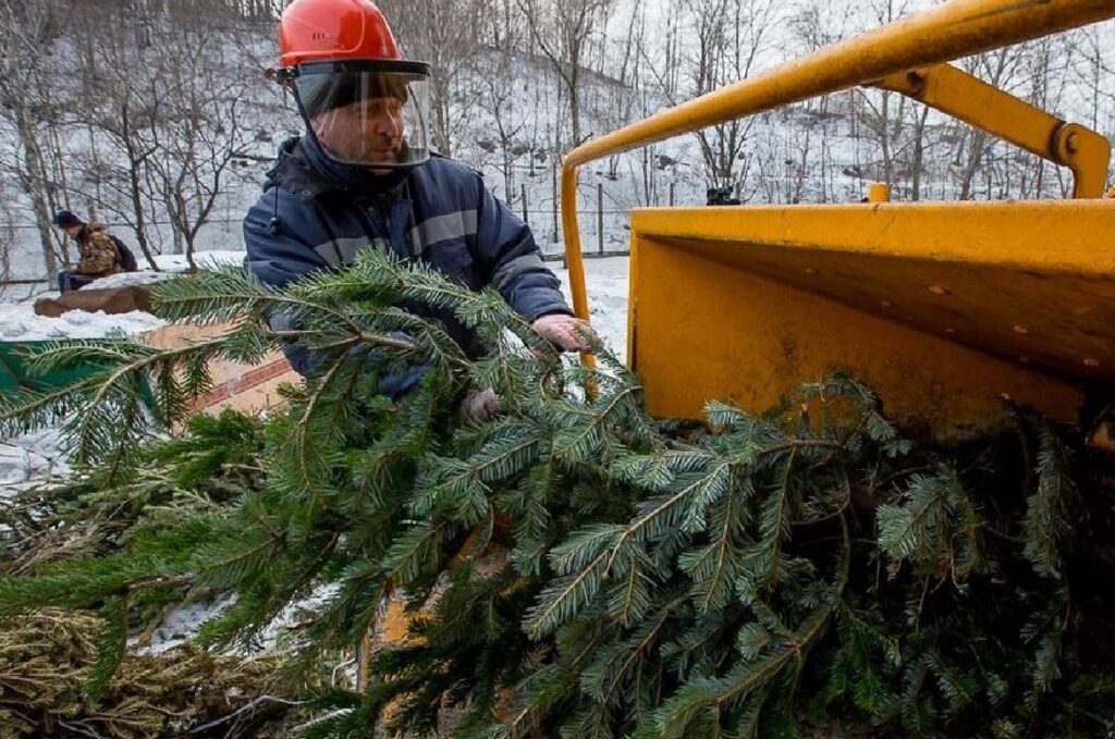 утилізація ялинок