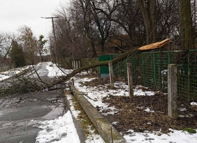 Зірвані покрівлі, повалені дерева і стовпи, знеструмлені села: наслідки буревію в Броварах і районі буревій